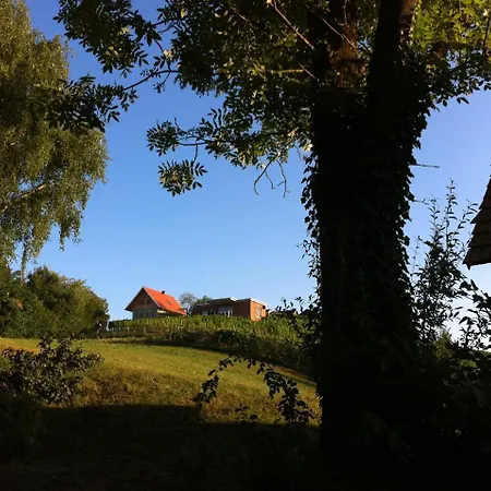 Ferienhaeuser Im Weingarten *