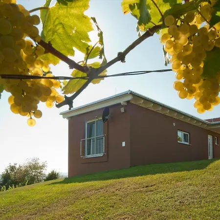 Ferienhaeuser Im Weingarten Сasa de vacaciones Fehring