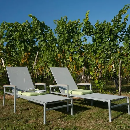 Prázdninový dům Ferienhaeuser Im Weingarten Fehring