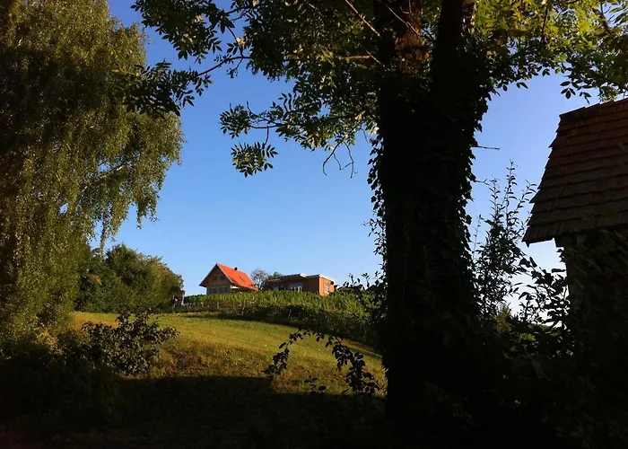 Ferienhaeuser Im Weingarten *
