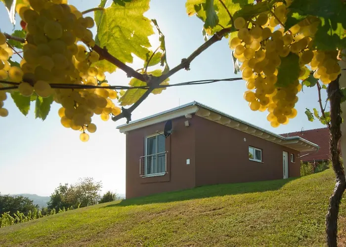 Ferienhaeuser Im Weingarten 度假居 Fehring