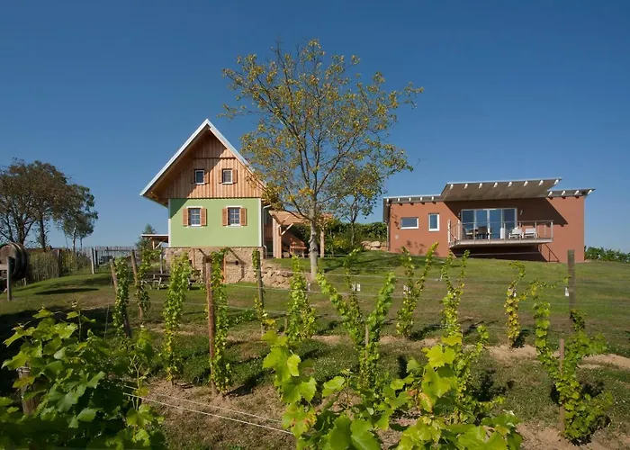 Ferienhaeuser Im Weingarten Fehring