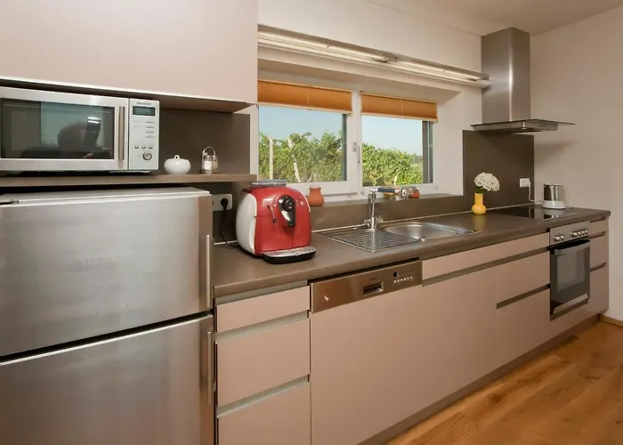 Ferienhaeuser Im Weingarten Prázdninový dům Fehring