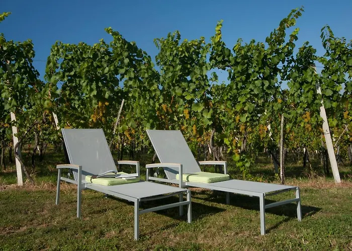 Prázdninový dům Ferienhaeuser Im Weingarten Fehring