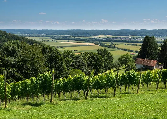 Ferienhaeuser Im Weingarten 度假居